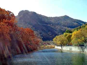 管家婆免费正版资起大全，岩棉夹芯板厂家